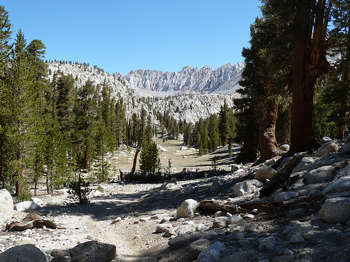 A view along the trail.